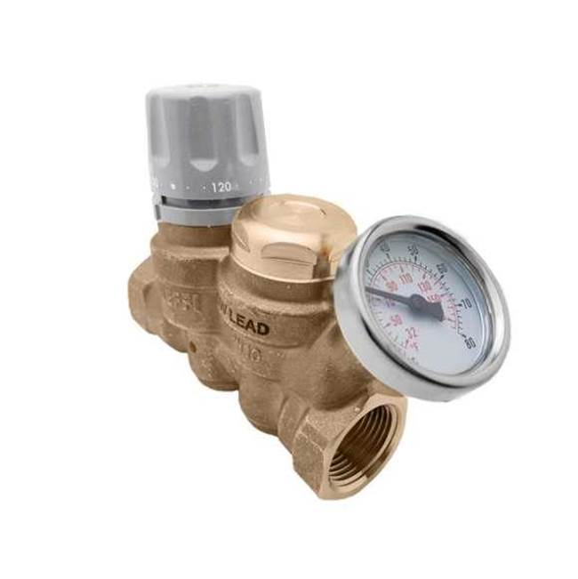 Caleffi ThermoSetterAdjustable Thermal Balancing Valve 3/4'' FNPT with Check Valve