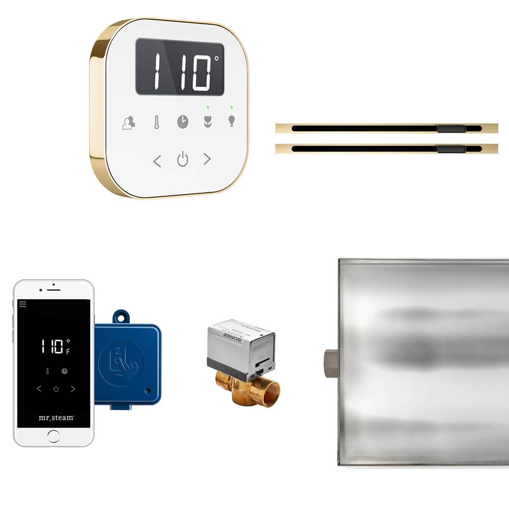 Mr. Steam AirButler Max Linear Steam Shower Control Package with AirTempo Control and Linear SteamHead in White Polished Brass